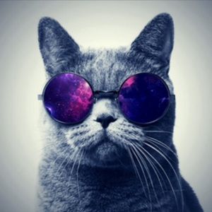 Meet your Posher, Ike